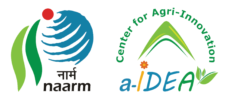 a-IDEA